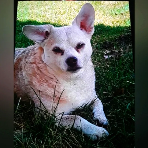 Send Me An Offer😊 - Picture 1 of 1